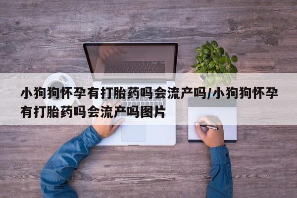 网上哪里有卖打胎药的联系方式小狗狗怀孕有打胎药吗会流产吗/小狗狗怀孕有打胎药吗会流产吗图片