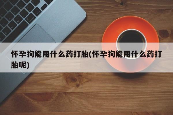 网上哪里有卖打胎药的联系方式怀孕狗能用什么药打胎(怀孕狗能用什么药打胎呢)